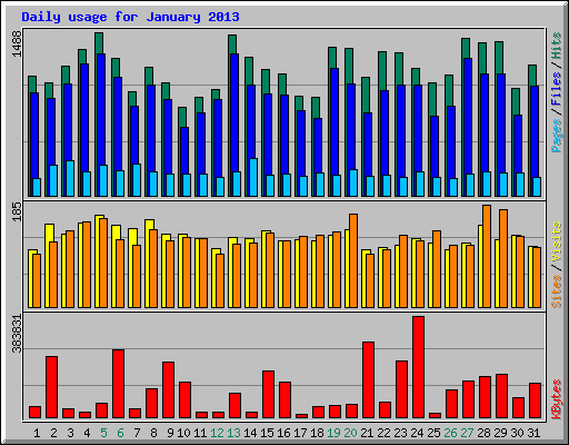 Daily usage for January 2013