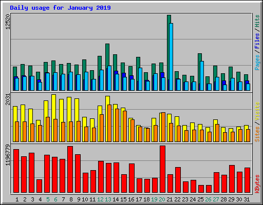 Daily usage for January 2019