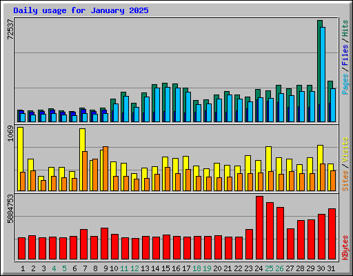 Daily usage for January 2025