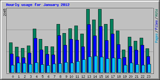 Hourly usage for January 2012