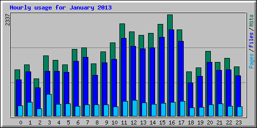 Hourly usage for January 2013