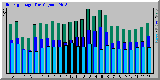 Hourly usage for August 2013