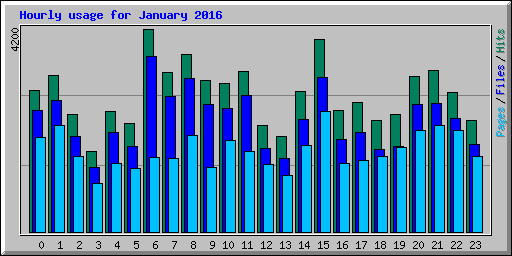 Hourly usage for January 2016