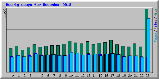 Hourly usage for December 2018