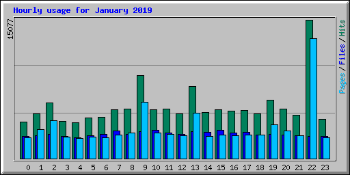 Hourly usage for January 2019