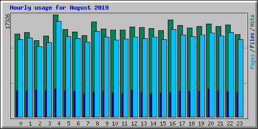 Hourly usage for August 2019