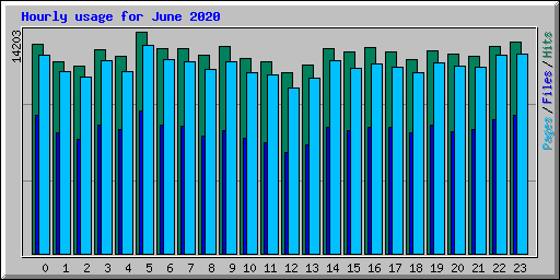 Hourly usage for June 2020