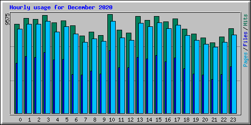 Hourly usage for December 2020