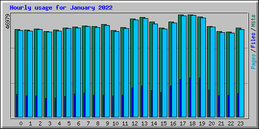 Hourly usage for January 2022