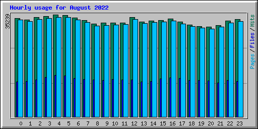 Hourly usage for August 2022