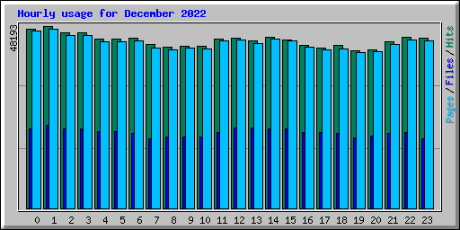 Hourly usage for December 2022