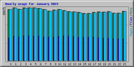 Hourly usage for January 2023