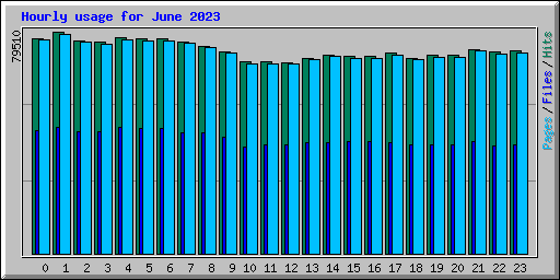 Hourly usage for June 2023