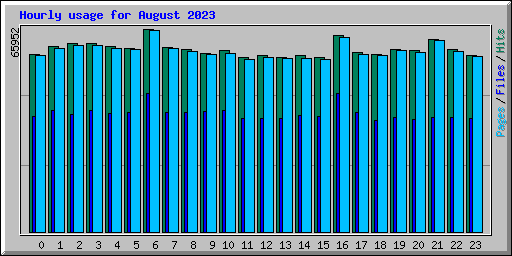 Hourly usage for August 2023