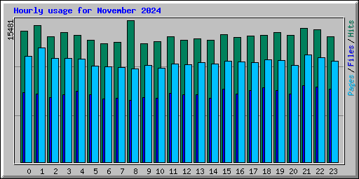 Hourly usage for November 2024