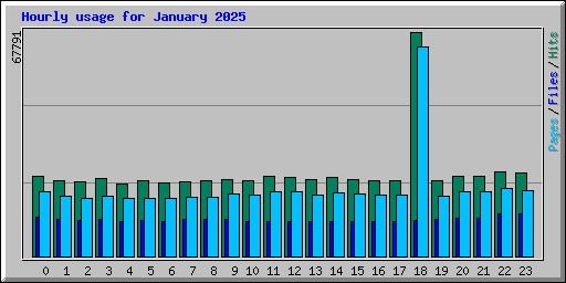 Hourly usage for January 2025