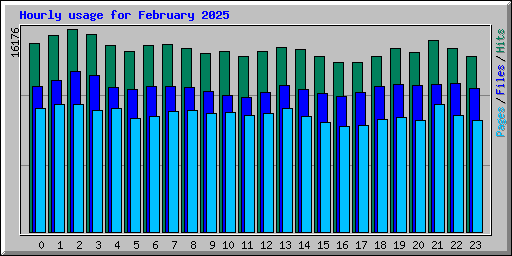 Hourly usage for February 2025