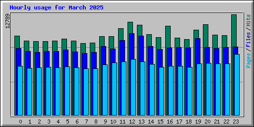 Hourly usage for March 2025