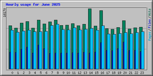 Hourly usage for June 2025