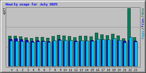 Hourly usage for July 2025