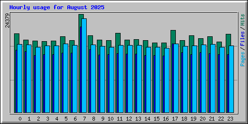 Hourly usage for August 2025