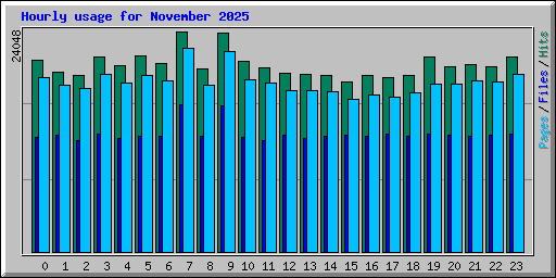 Hourly usage for November 2025