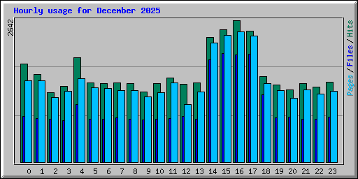 Hourly usage for December 2025