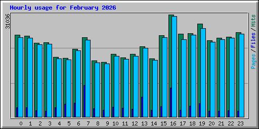 Hourly usage for February 2026
