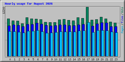 Hourly usage for August 2026